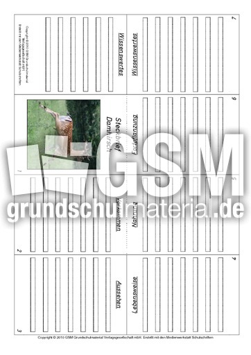 Faltbuch-Damhirsch.pdf